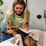 A woman with long blonde hair wearing a light green t-shirt and blue jeans dries a medium-sized Potcake dog with a beige towel in a white bathtub. The background features a modern bathroom with light gray walls, a black faucet, and green plants, highlighting DIY Dog Grooming Hacks for budget-friendly pet care.