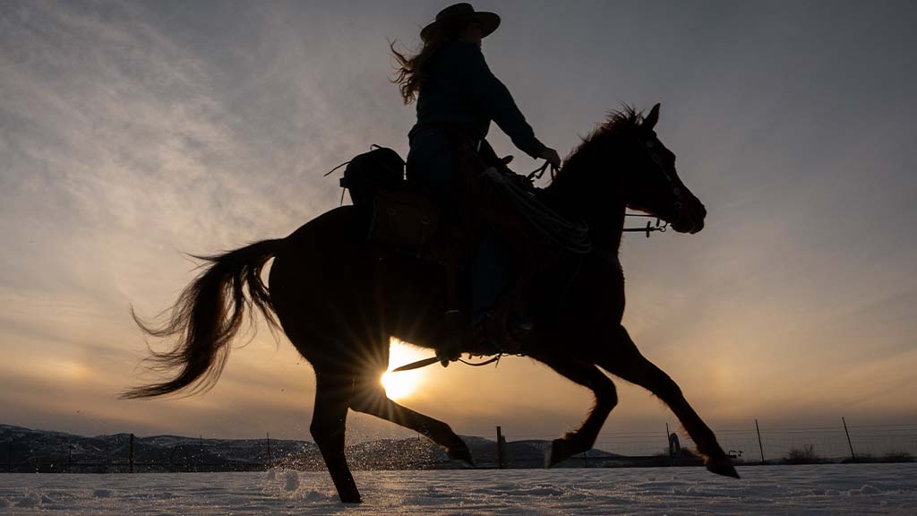 The silhouette of a cowgirl riding a horse against a sunset in an oceanic landscape, symbolizing freedom and strength. Perfect for inspiring quotes about horses and the bond between rider and steed.