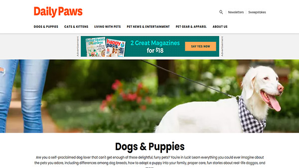 Homepage image of the website Daily Paws. The website is among the best Dog websites.