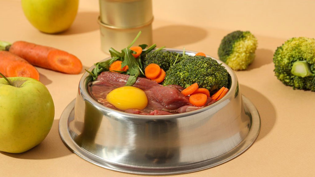 A stainless steel pet food bowl filled with fresh ingredients for homemade organic pet treats recipes, including raw beef, a raw egg yolk, sliced carrots, broccoli, and arugula. Surrounding the bowl are whole carrots, apples, broccoli, and canned food on a beige background.