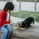 A young child in a red cardigan and jeans sits on a wooden bench outdoors, holding a green ball while interacting with a Yorkshire Terrier wearing a harness. The child appears to be training the dog, who is attentively following a command. The setting is enclosed by a metal fence, suggesting a park or designated pet area. This image relates to the article "06 Training Methods to Improve Pet’s Behavior," highlighting positive reinforcement techniques for effective pet training.