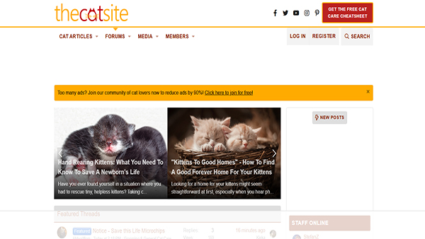 Homepage image of the website "TheCatSite" - The Best Community for Cat Lovers