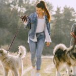 Two young women are walking their dogs on a scenic outdoor trail with tall grass and trees in the background. The woman in the foreground, wearing a denim jacket and ripped jeans, is holding the leash of a fluffy, white Great Pyrenees, who looks calm and attentive. Behind her, another woman in a gray cardigan and sunglasses walks a large Alaskan Malamute with a thick coat and a happy expression. The dogs are walking parallel to each other at a safe distance, illustrating the best method on how to introduce a new dog to your existing pets—neutral territory and controlled interactions. The natural lighting and relaxed body language of both owners and dogs create a peaceful and harmonious atmosphere.