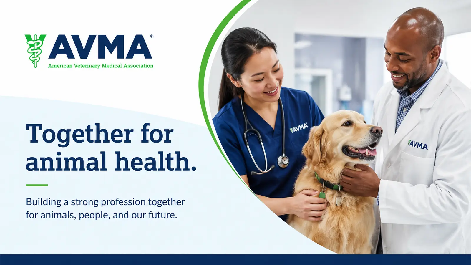 American Veterinary Medical Association