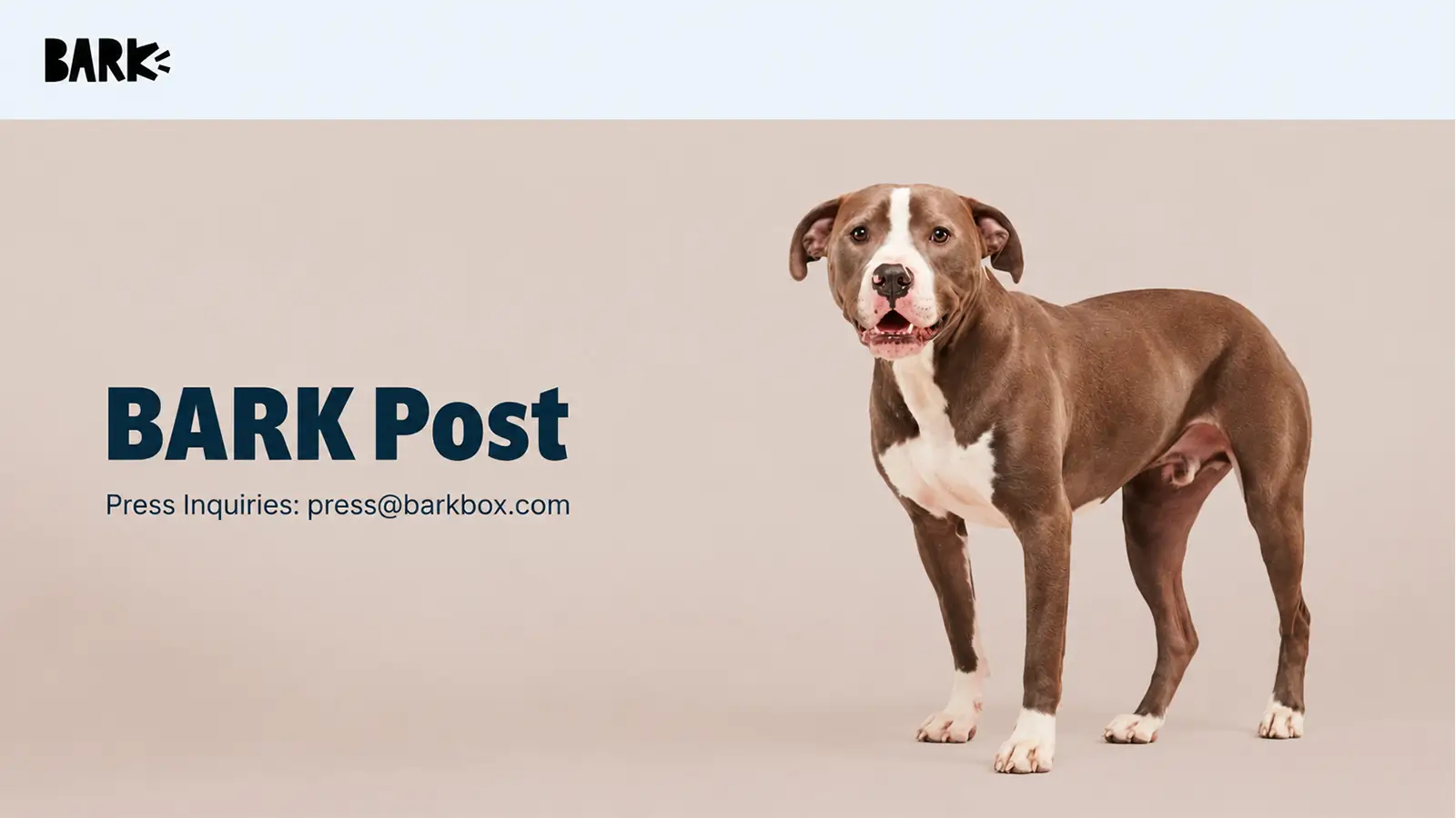 BARK Post