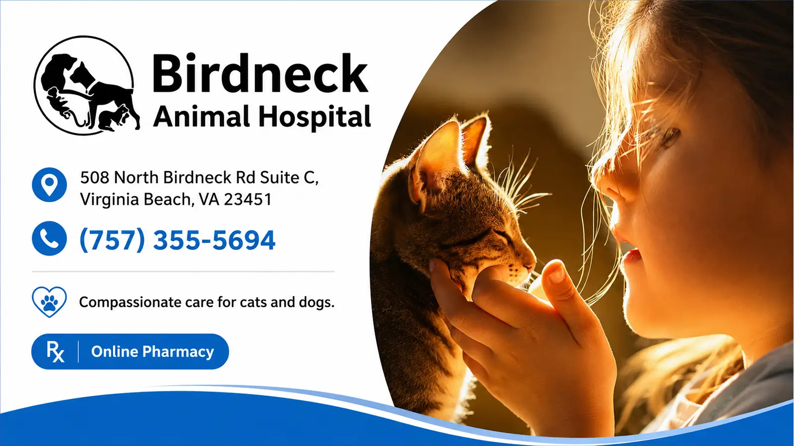 Birdneck Animal Hospital banner with a cat, pet owner, Virginia Beach details, and online pharmacy.