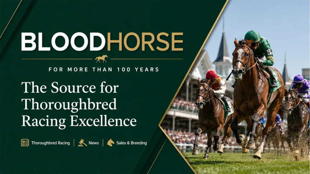 BloodHorse Thoroughbred racing banner showing racehorses competing on a track.