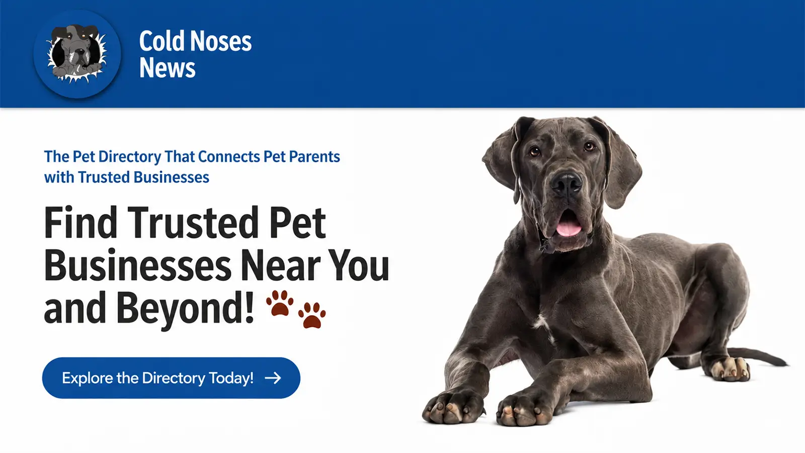 Cold Noses News