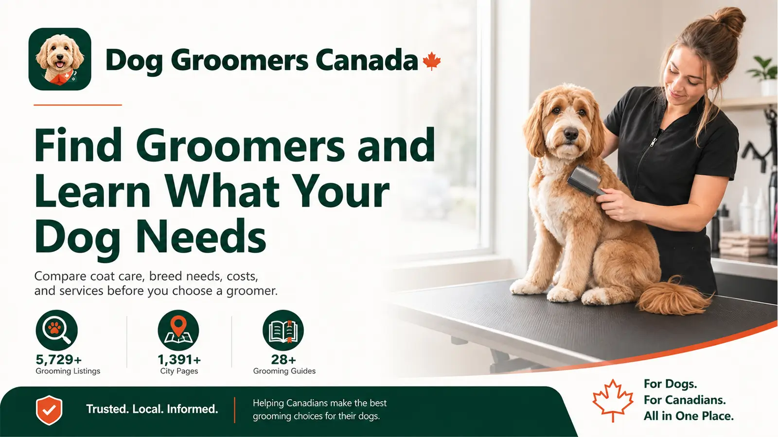 Dog Groomers Canada directory with a groomer brushing a doodle and statistics for listings, cities, and grooming guides.