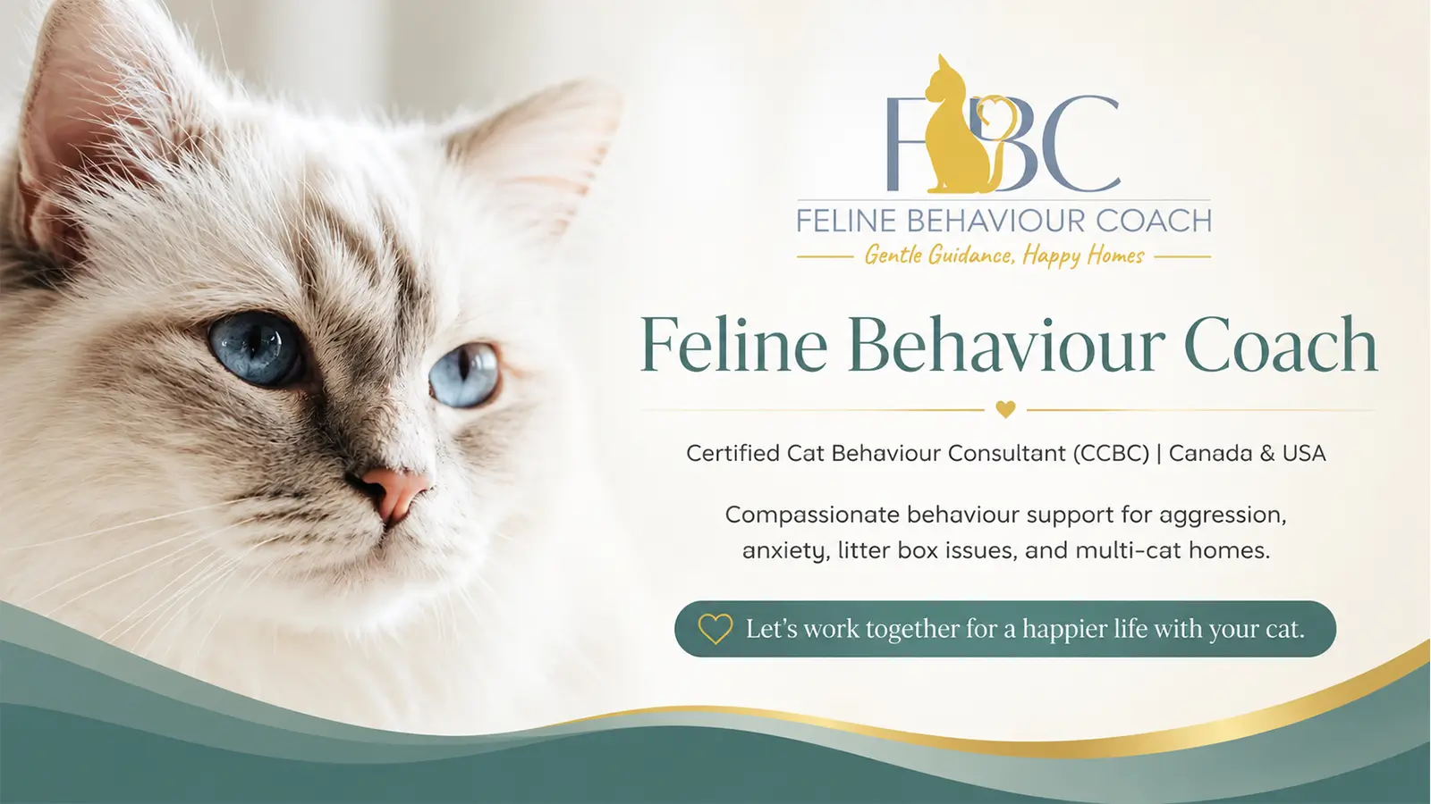 Feline Behaviour Coach website promoting certified support for cat anxiety, aggression, litter box issues, and multi-cat homes.