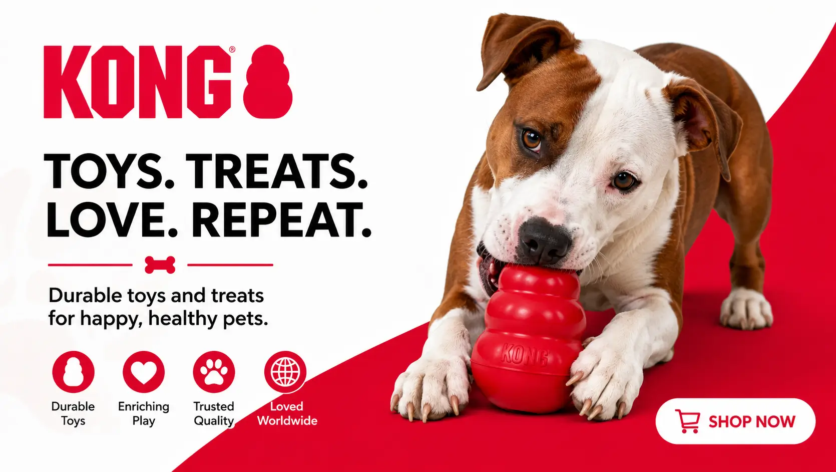 KONG banner showing a dog playing with a red KONG toy, with messaging for durable dog toys, treats, enriching play, trusted quality, and pet product shopping.