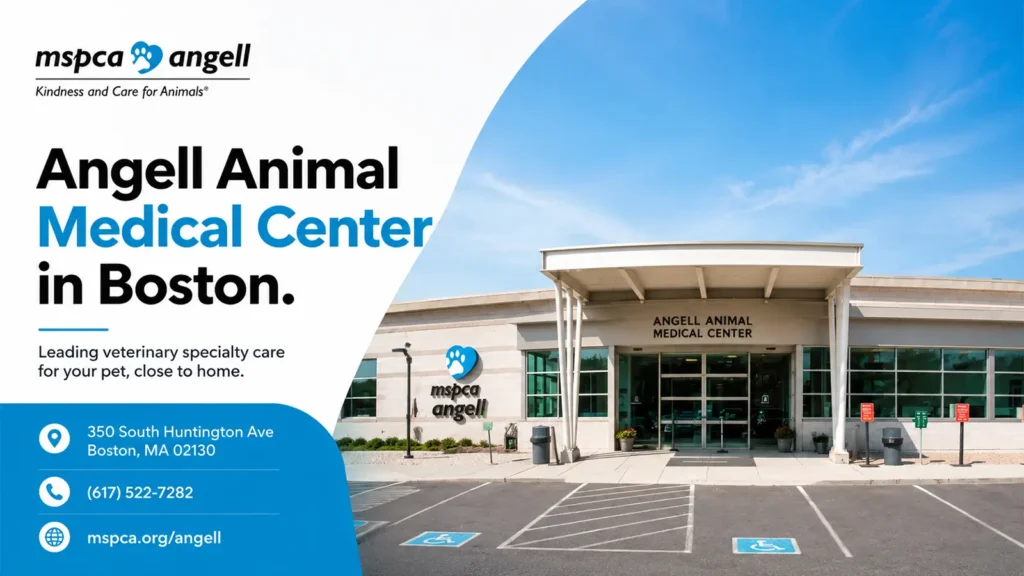 Angell Animal Medical Center veterinary hospital building in Boston.