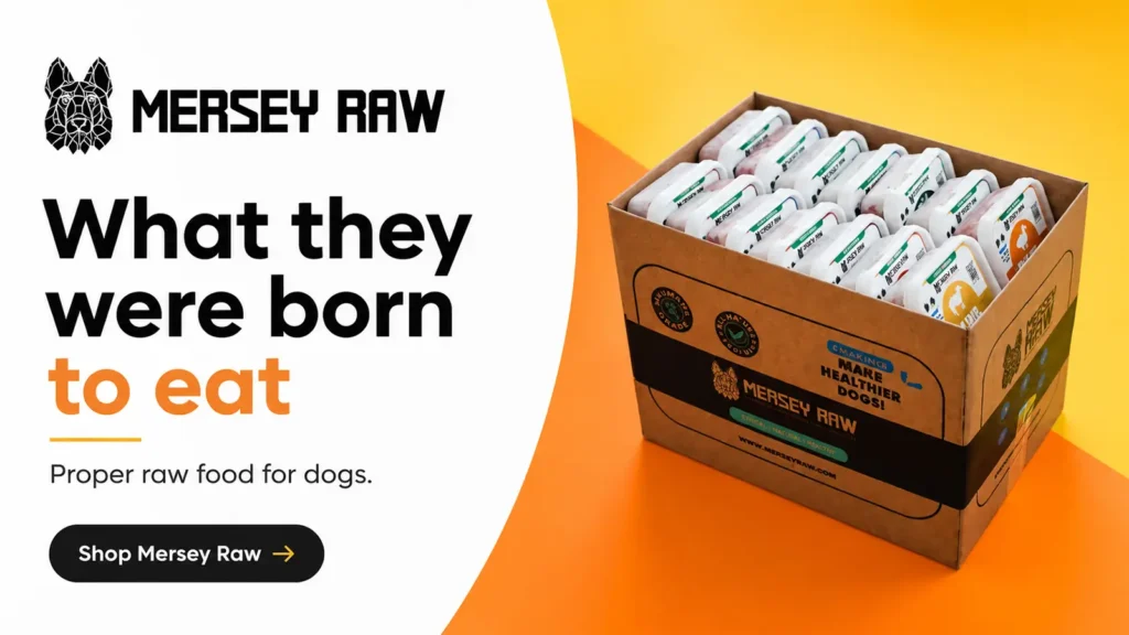 Mersey Raw dog food banner showing a branded box of frozen raw meals against an orange background.