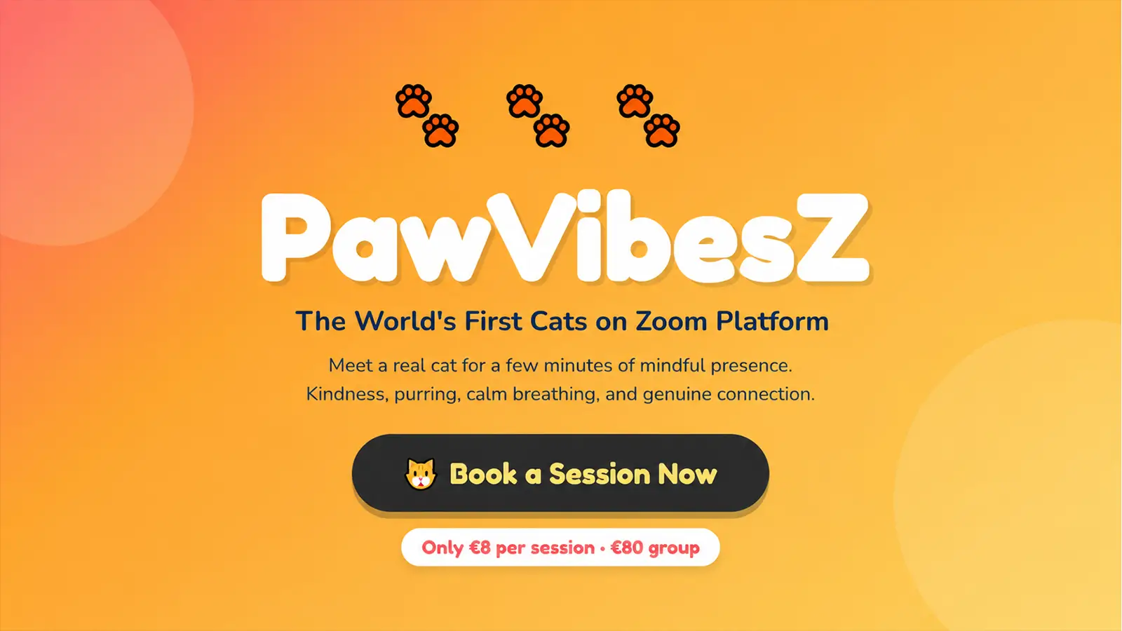 PawVibesZ Cats on Zoom platform banner with online cat sessions, individual pricing, and a Book a Session button.