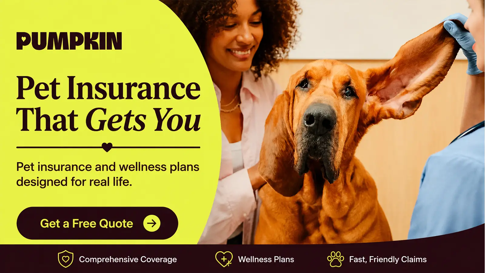 Pumpkin pet insurance banner showing a Bloodhound during a veterinary exam with coverage and claims messaging.