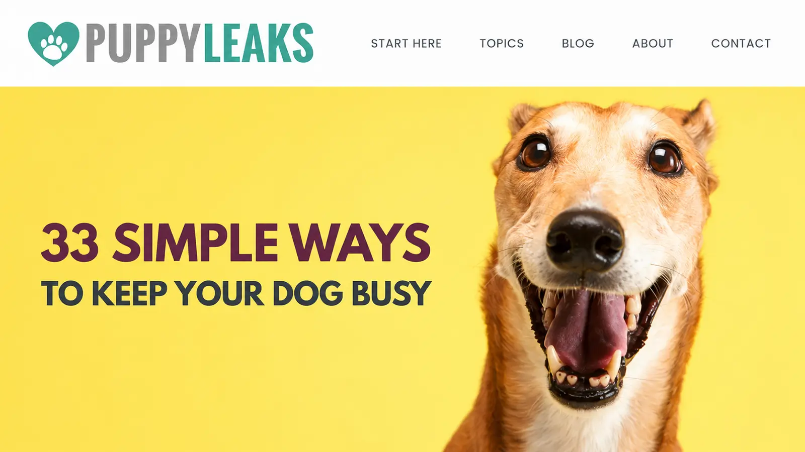 Puppy Leaks