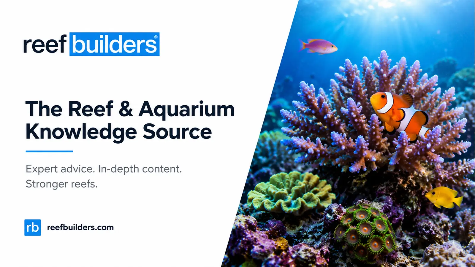 Reef Builders