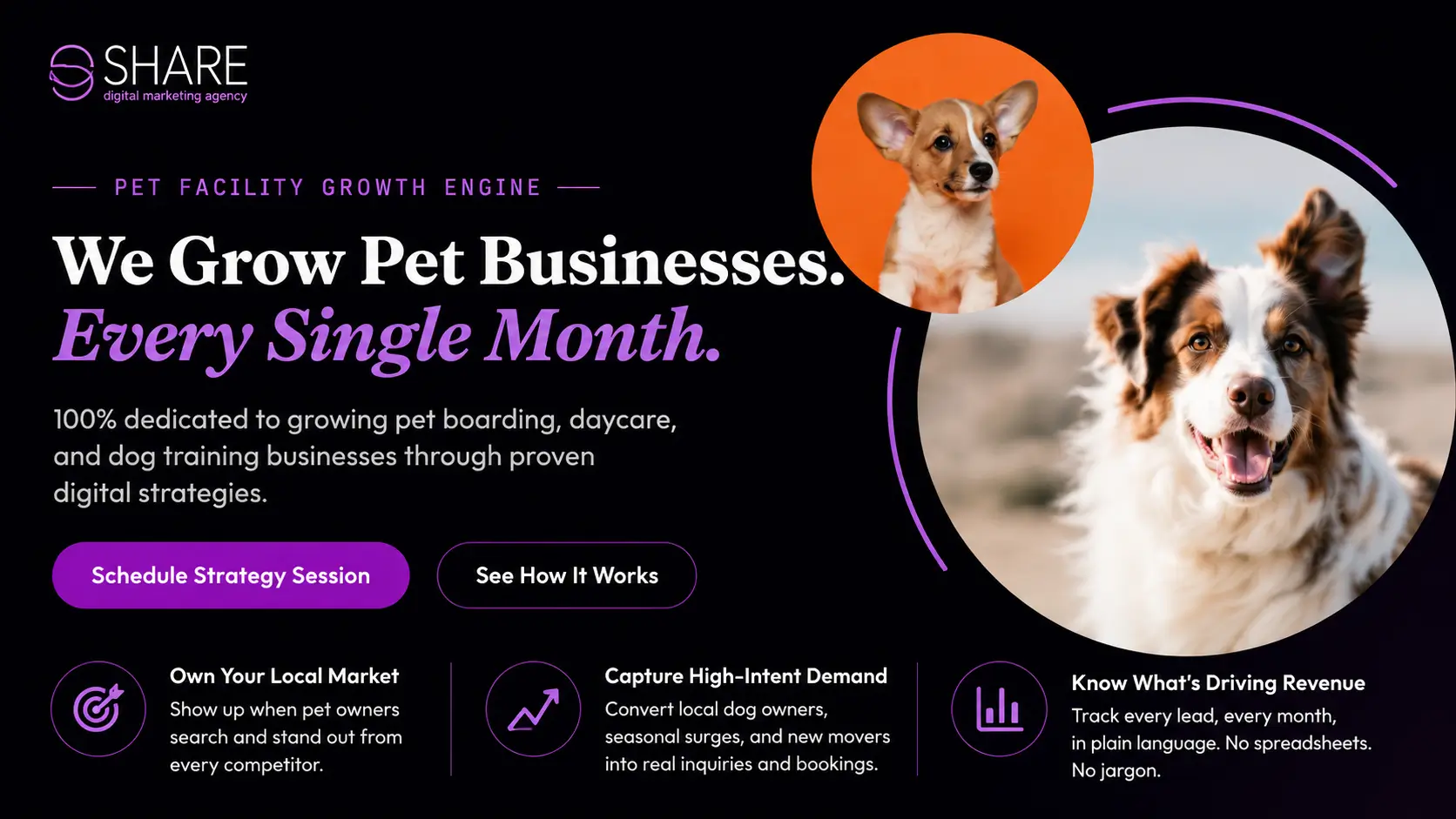 SHARE Marketing Agency banner showing pet business growth services, digital marketing strategy, local search demand, lead tracking, and dogs used in a pet facility marketing design.