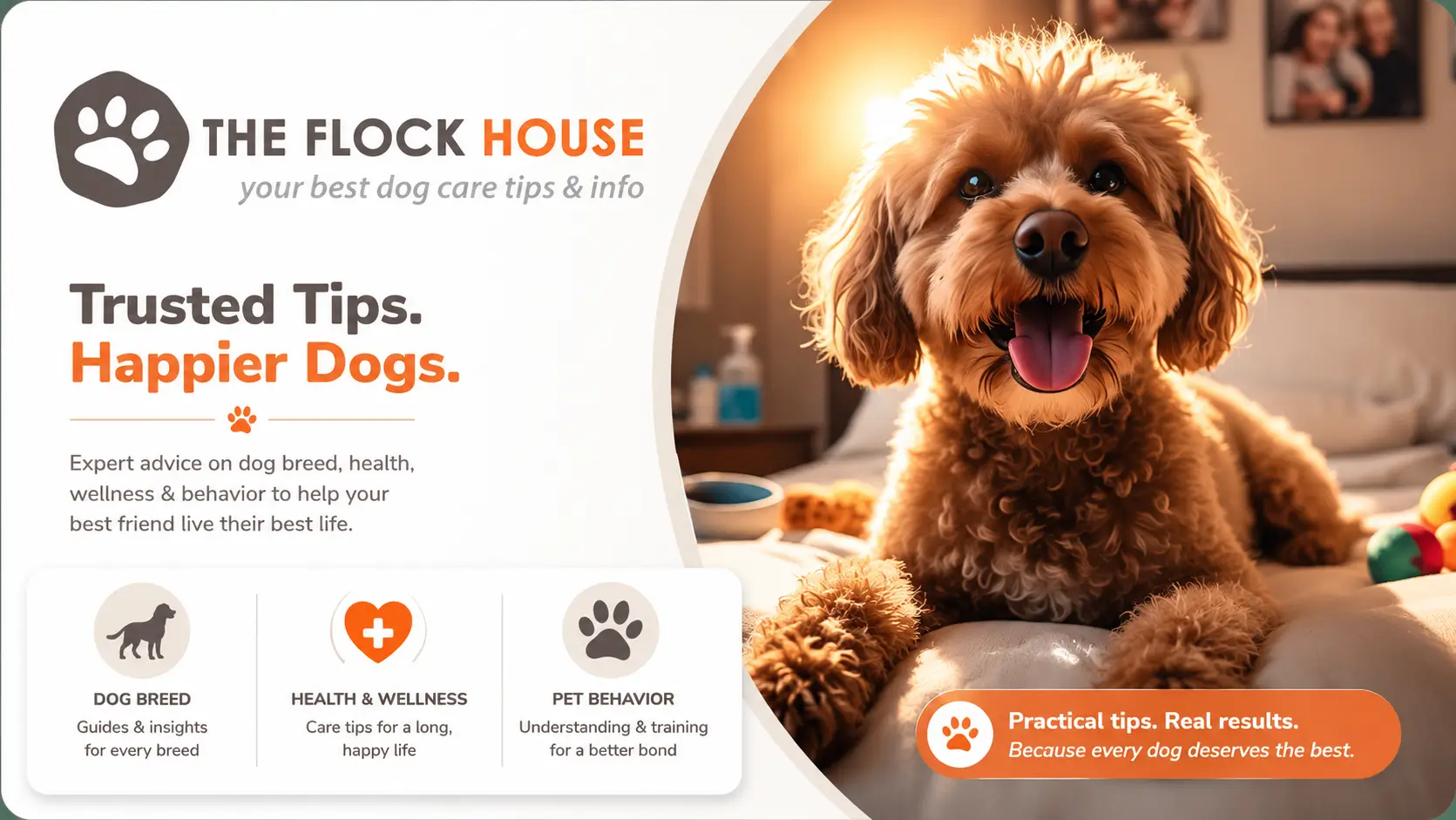 The Flock House banner showing a happy dog with dog breed guides, pet health tips, wellness advice, and behavior education for dog owners.