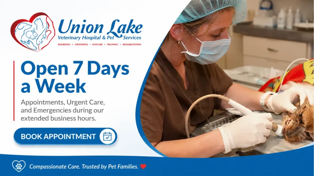 Union Lake Veterinary Hospital banner showing a veterinarian performing an ultrasound on a dog.