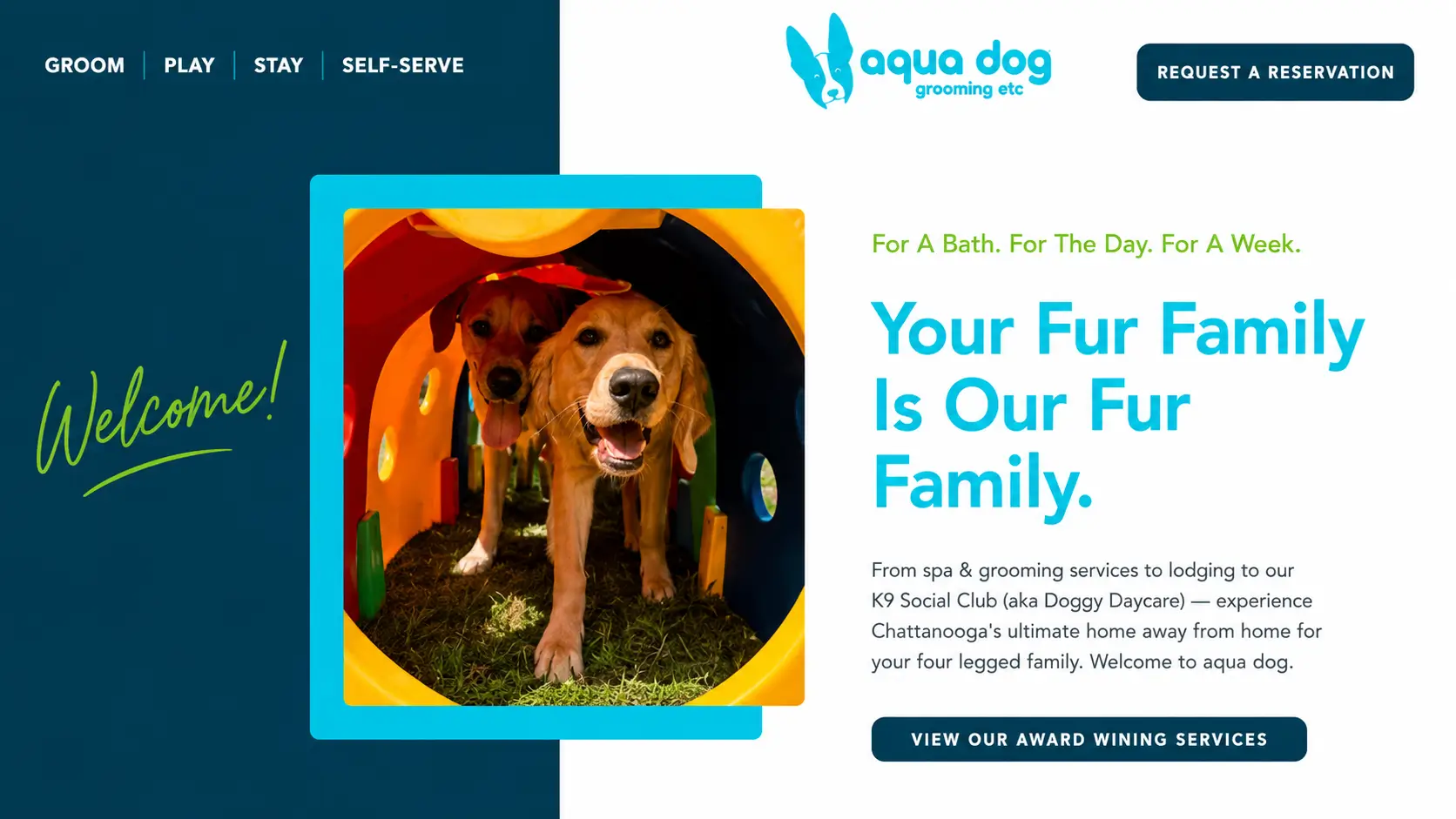 Aqua Dog Grooming Etc banner showing dog grooming, daycare, lodging, self-serve bathing, pet boutique services, and reservation support in Chattanooga, Tennessee.