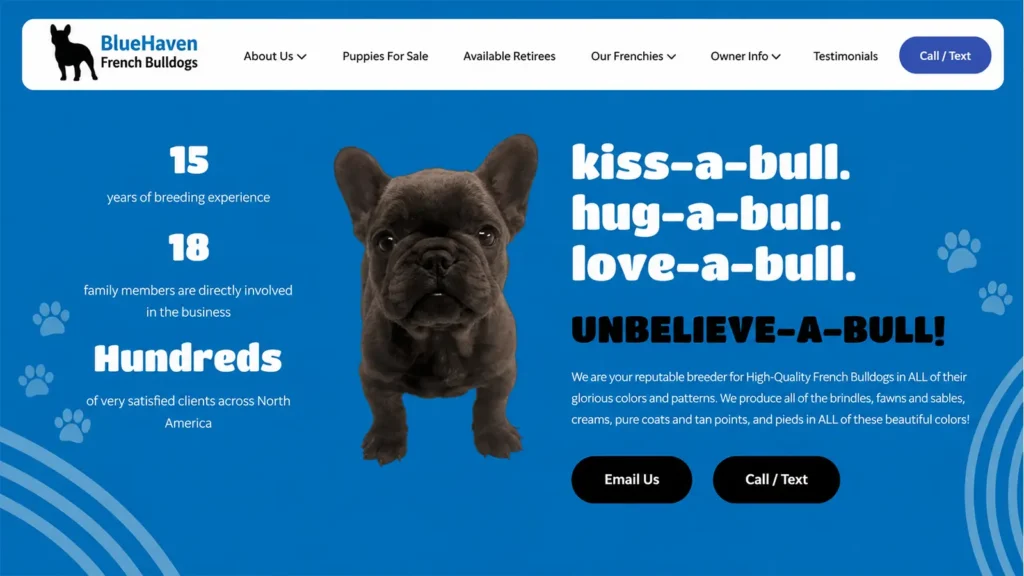 BlueHaven French Bulldogs homepage featuring a black French Bulldog puppy, breeder experience, and puppy inquiry buttons.