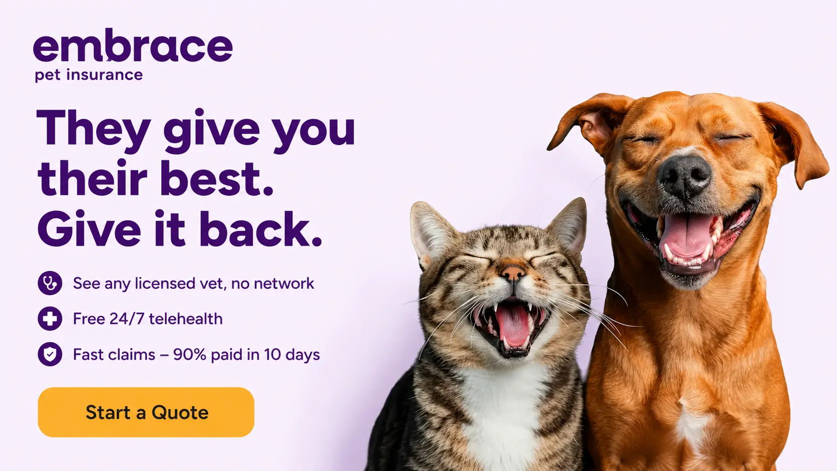 Embrace Pet Insurance banner showing a happy dog and cat with pet insurance benefits, licensed vet access, 24/7 telehealth, fast claims, and quote call-to-action.