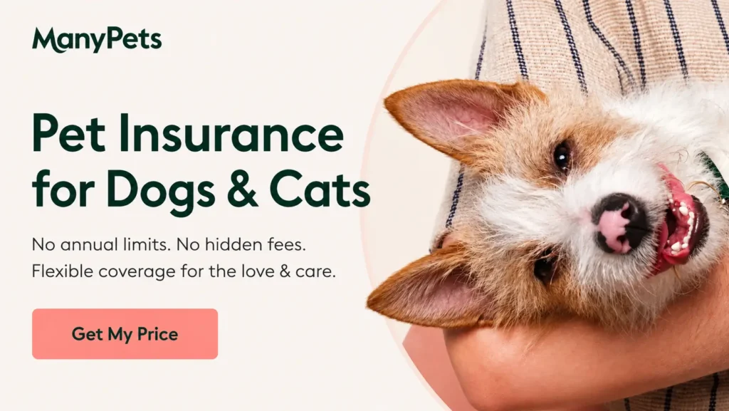 ManyPets banner showing pet insurance for dogs and cats, no annual limits, no hidden fees, flexible coverage, and a price quote call-to-action.