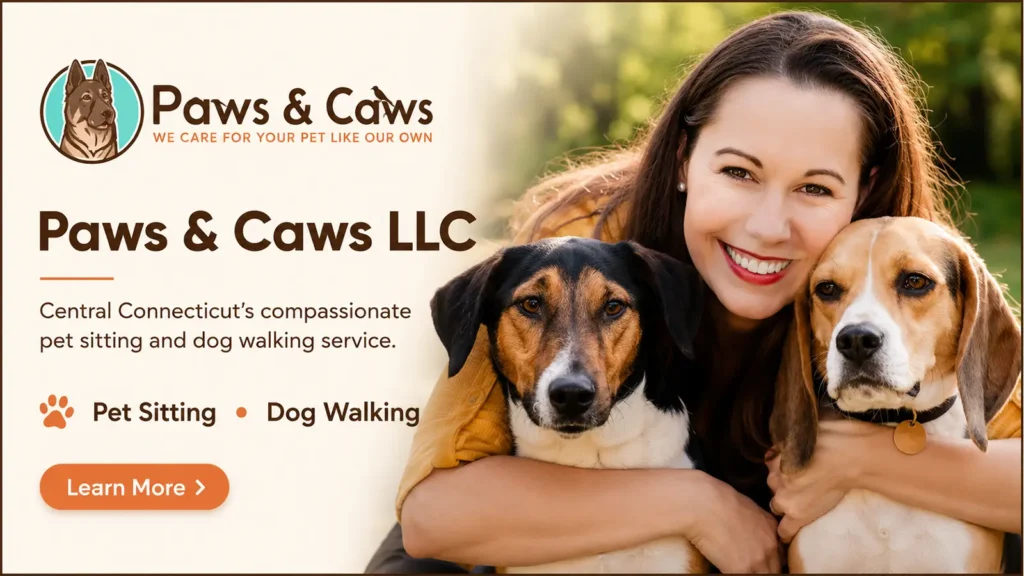 Paws & Caws LLC banner with a pet sitter and two dogs promoting pet sitting and dog walking in Connecticut.