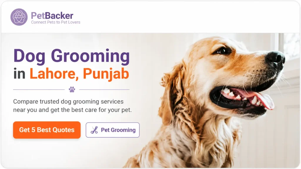 PetBacker banner showing dog grooming services in Lahore, Punjab, with a Golden Retriever, quote request button, and pet grooming service option.