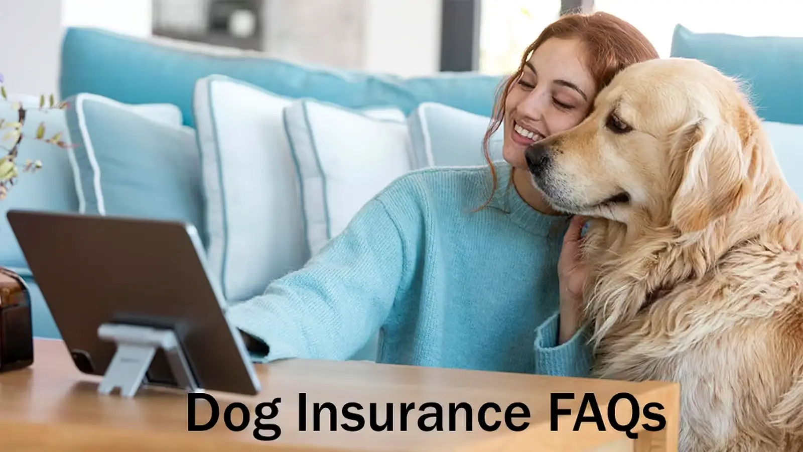 Dog insurance FAQs with a woman and Golden Retriever looking at a tablet at home.