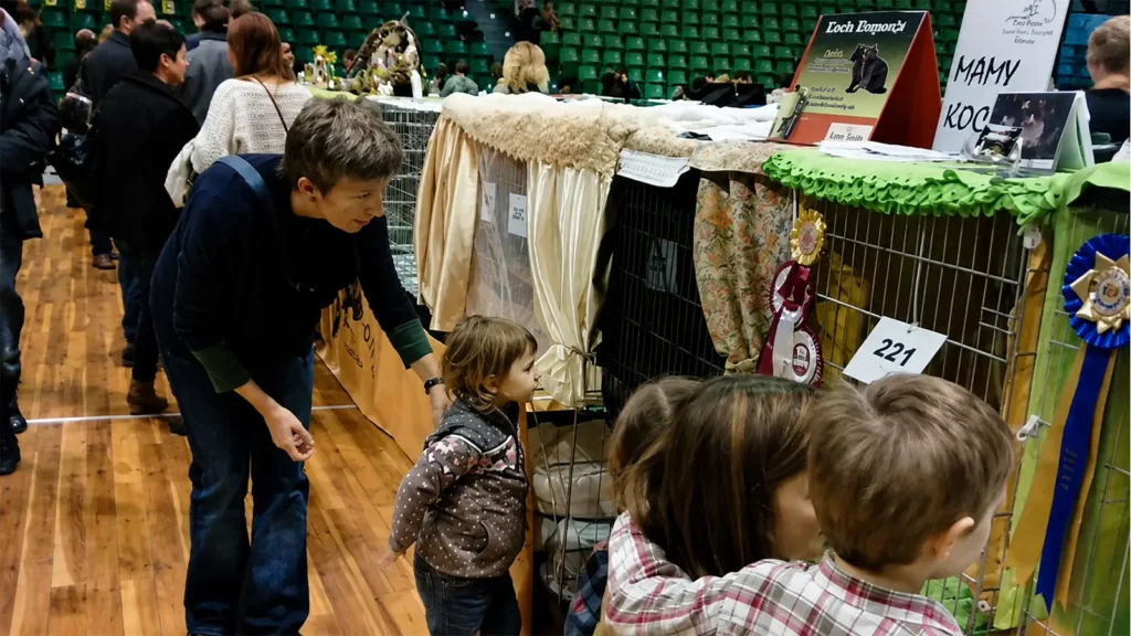 Families and children exploring decorated cat enclosures at an indoor cat show with pedigree cats, judging displays, and award ribbons.