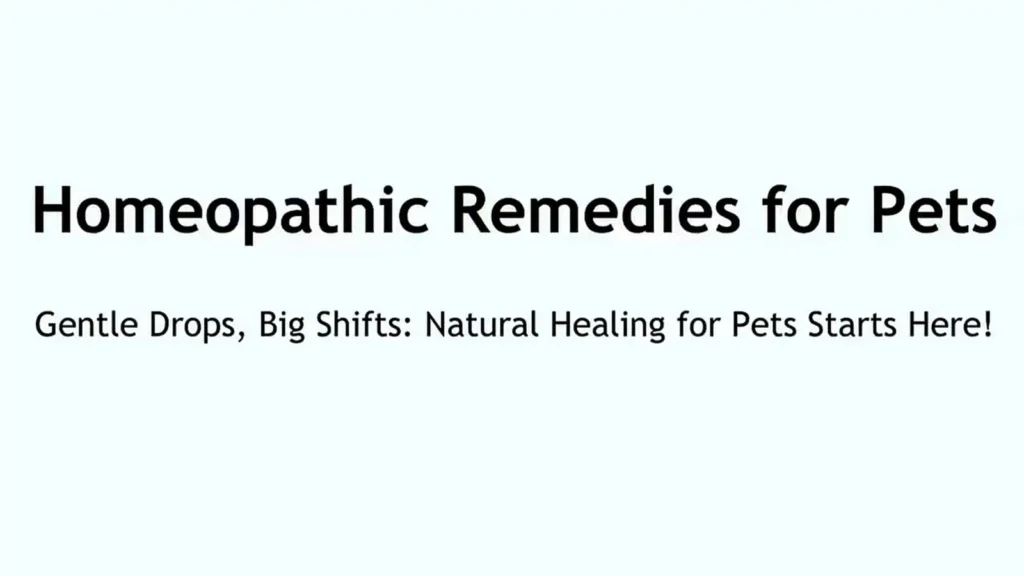 Homeopathic remedies for pets concept with natural healing message on blue background.
