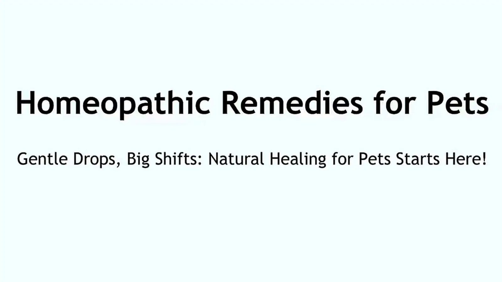 Homeopathic remedies for pets concept with natural healing message on blue background.