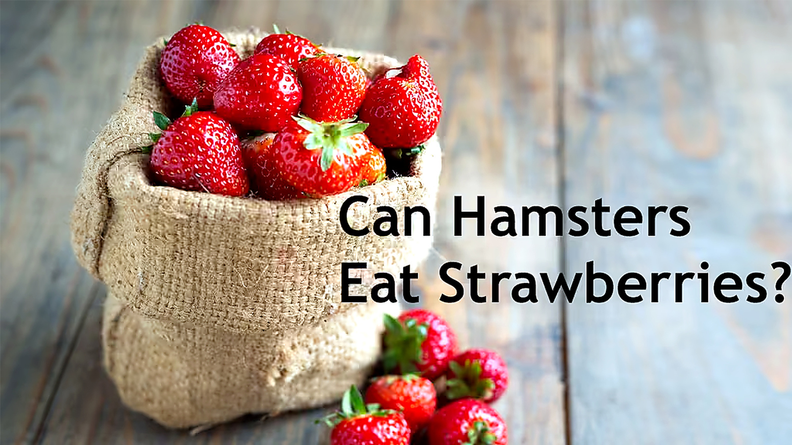 Strawberries in a burlap sack with text asking can hamsters eat strawberries.