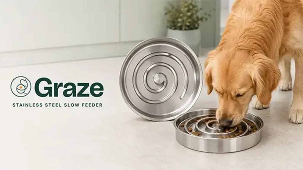 Graze stainless steel slow-feeder dog bowl used by a Golden Retriever during mealtime.