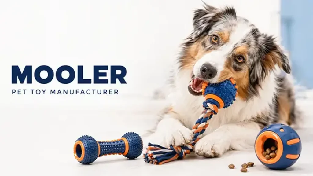 Mooler pet toy manufacturer banner featuring a dog with rope toys, balls, and interactive accessories.