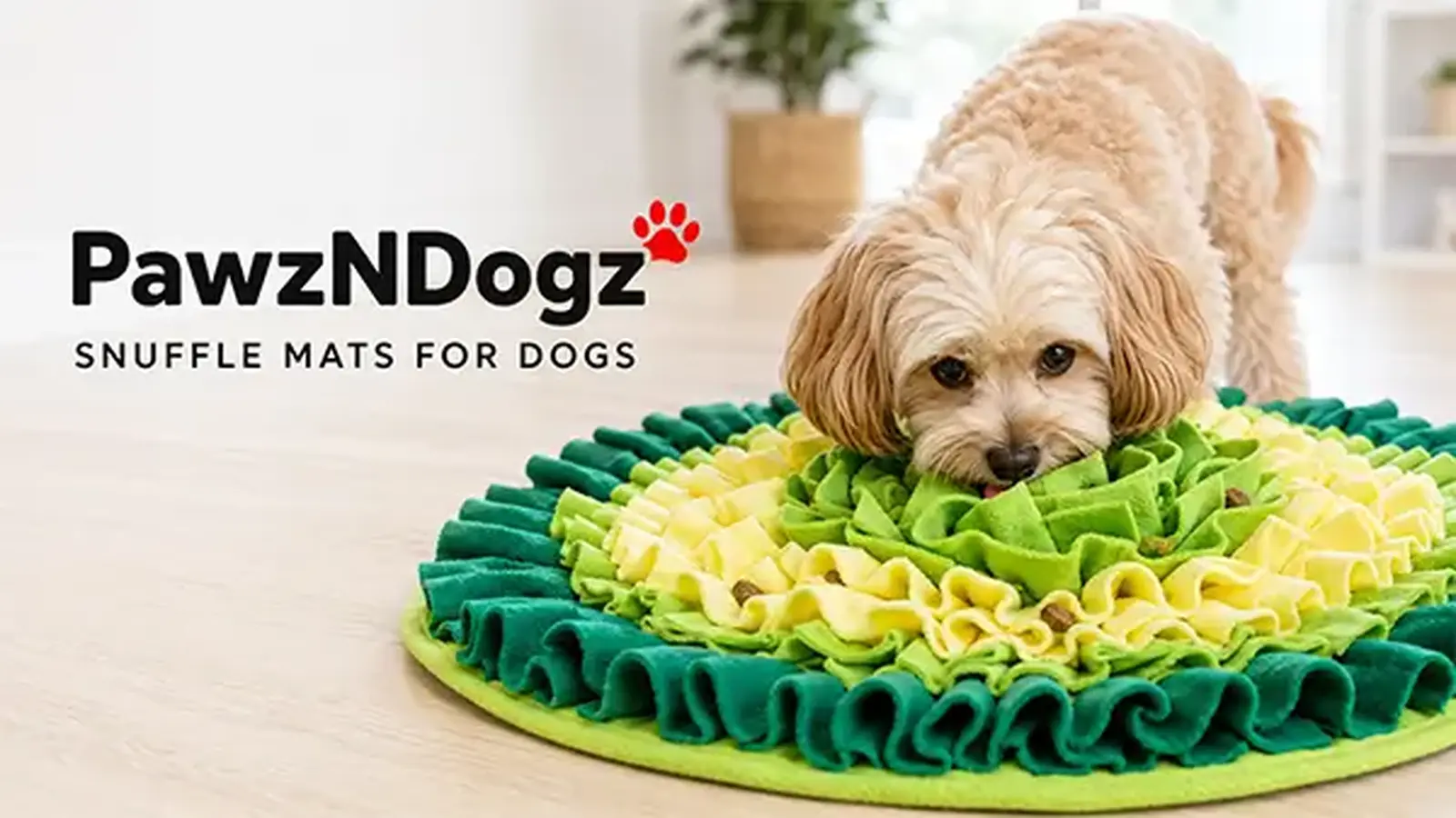 PawzNDogz