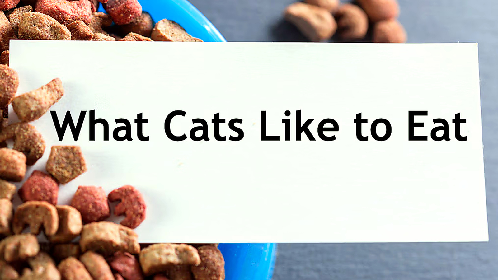 Dry cat food with headline text reading what cats like to eat.