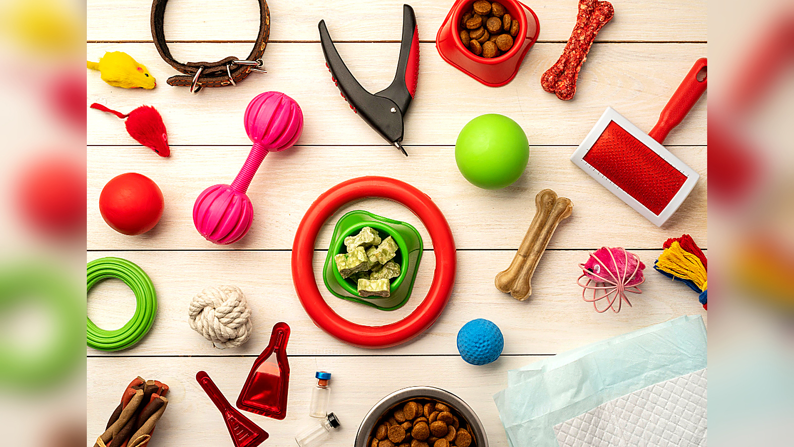 Alt Text: Assorted pet care supplies including toys, grooming brush, food bowls, treats, collar, and training accessories.