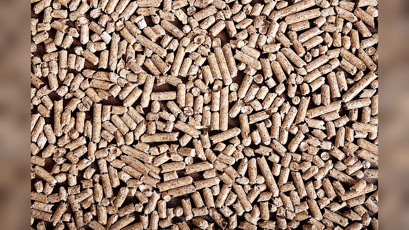Close-up of natural wood pellet cat litter showing absorbent cylindrical pellets and texture.