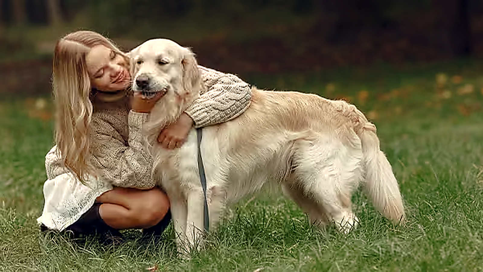 Woman hugging a Golden Retriever while relaxing together outdoors on grass.