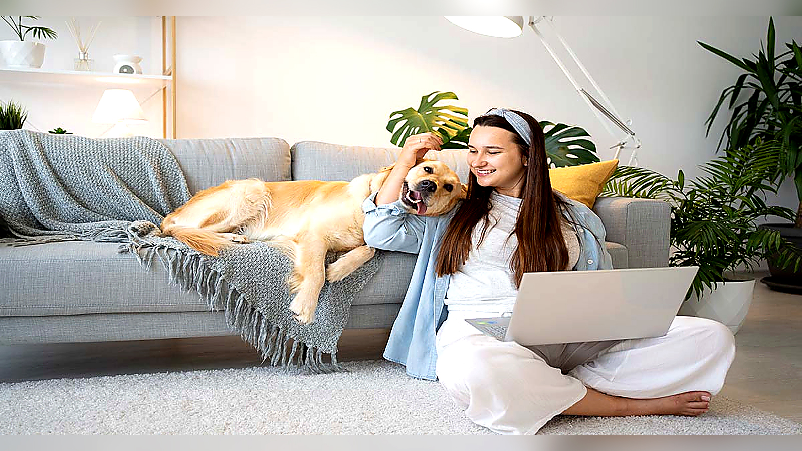 Woman working on a laptop at home while petting a Golden Retriever beside the sofa.