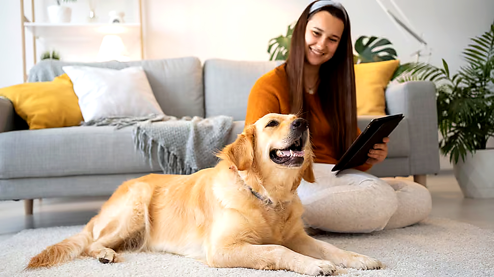 Woman using a tablet while sitting beside a Golden Retriever in a modern living room.