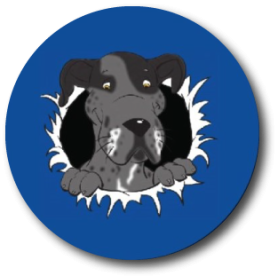 Cold Noses News logo