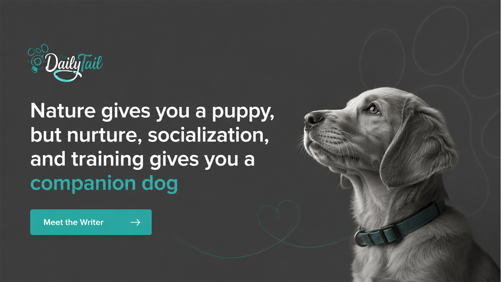 DailyTail companion dog training and socialization banner featuring a young dog against a dark background.