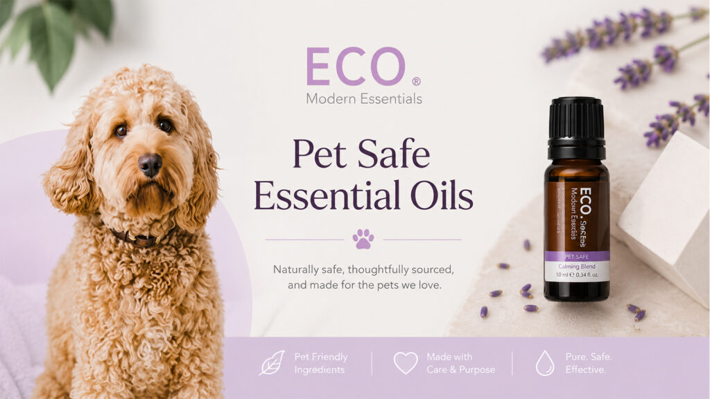 ECO Modern Essentials pet-safe essential oils banner with calming blend bottle and dog.
