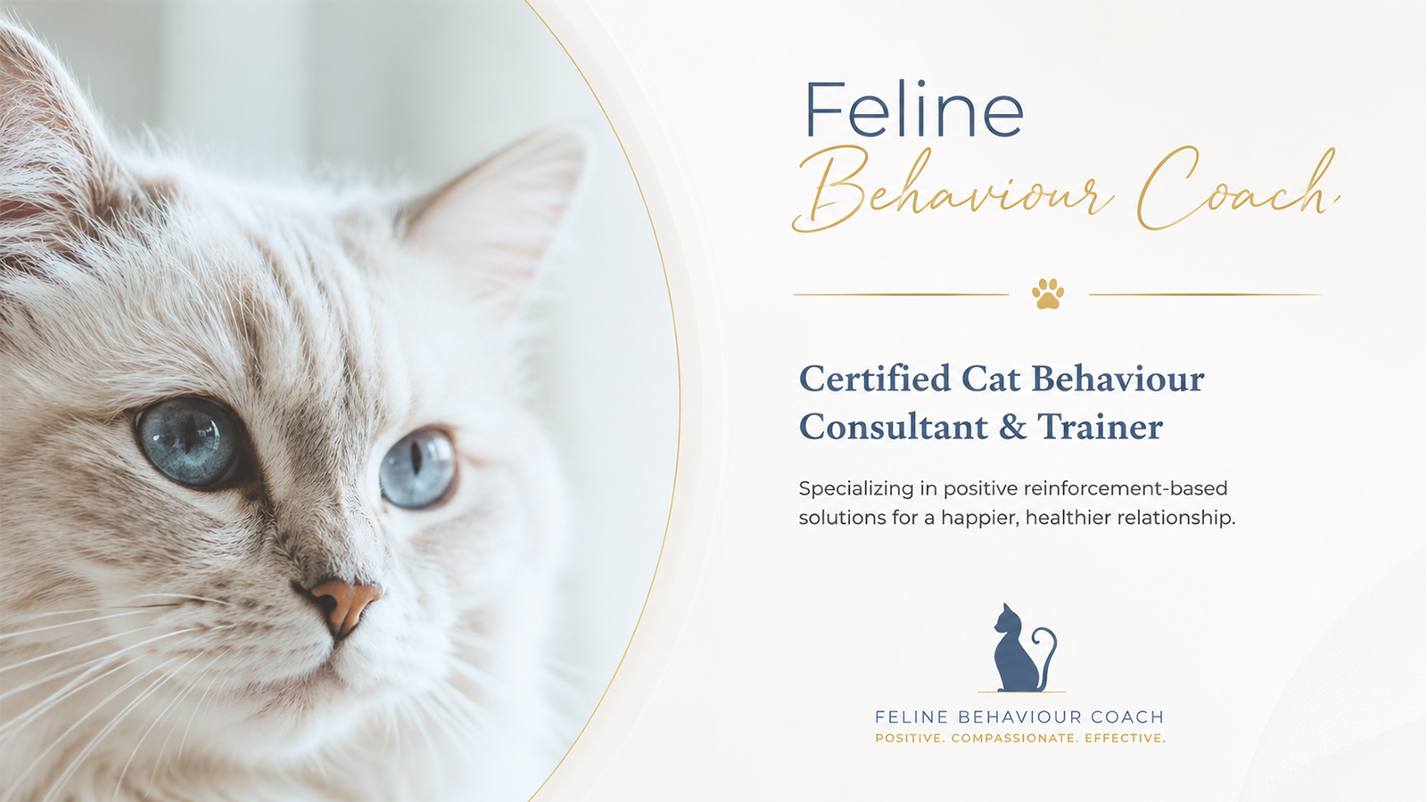 Feline Behaviour Coach offering certified cat behaviour consulting and positive reinforcement training.