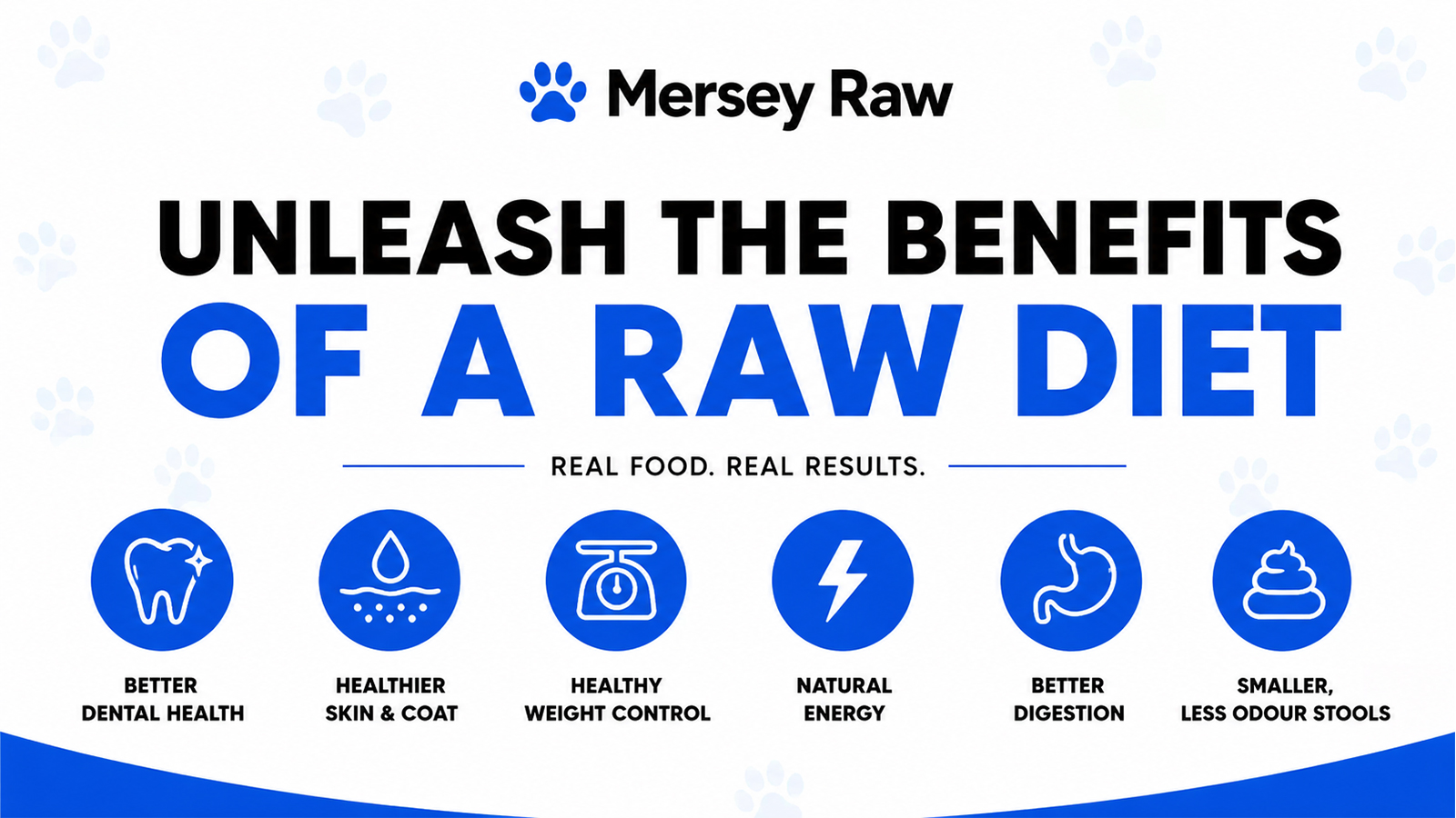 Mersey Raw dog food graphic explaining potential benefits of feeding dogs a raw diet.