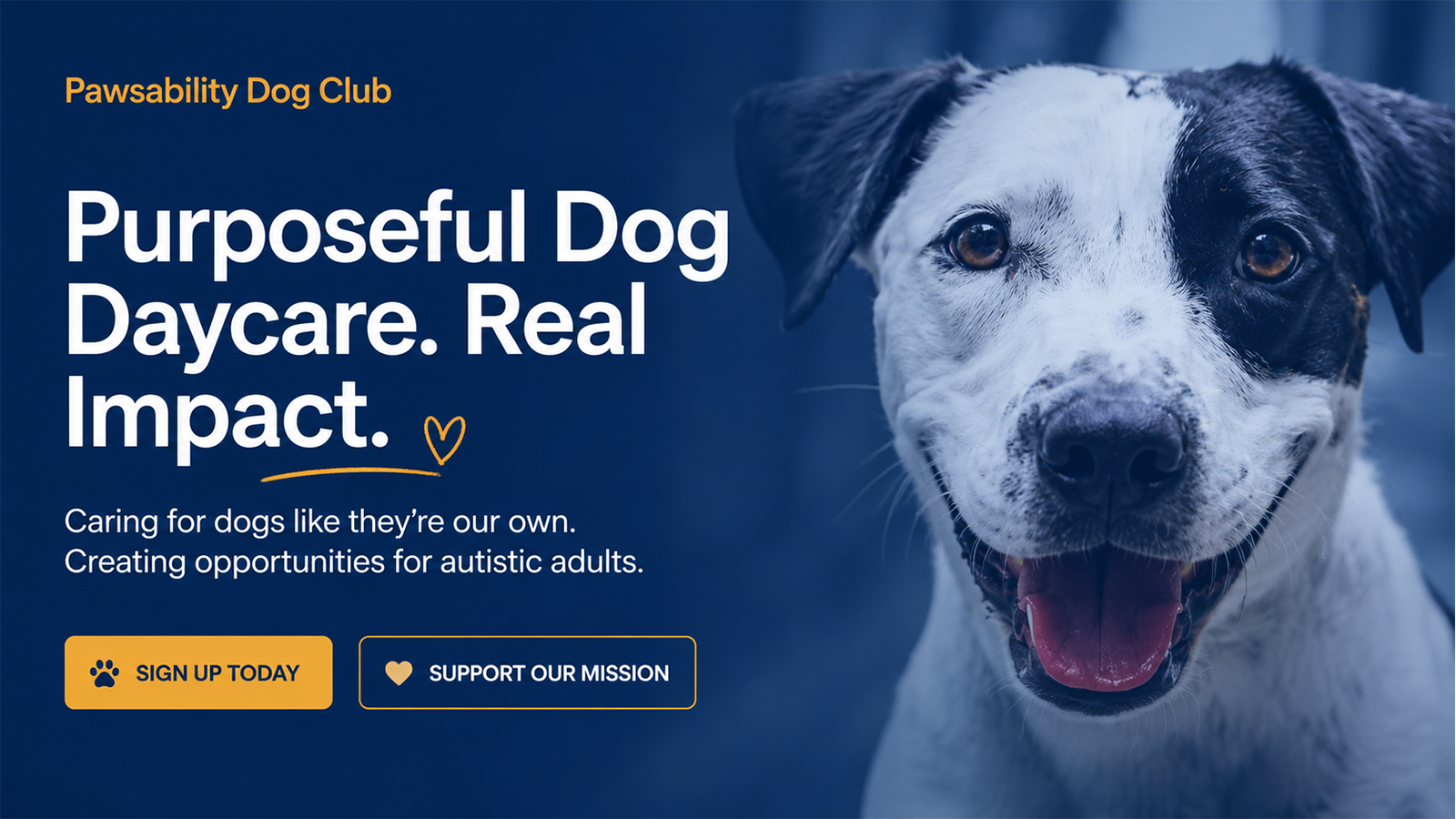 Pawsability Dog Club purposeful dog daycare supporting employment opportunities for autistic adults.